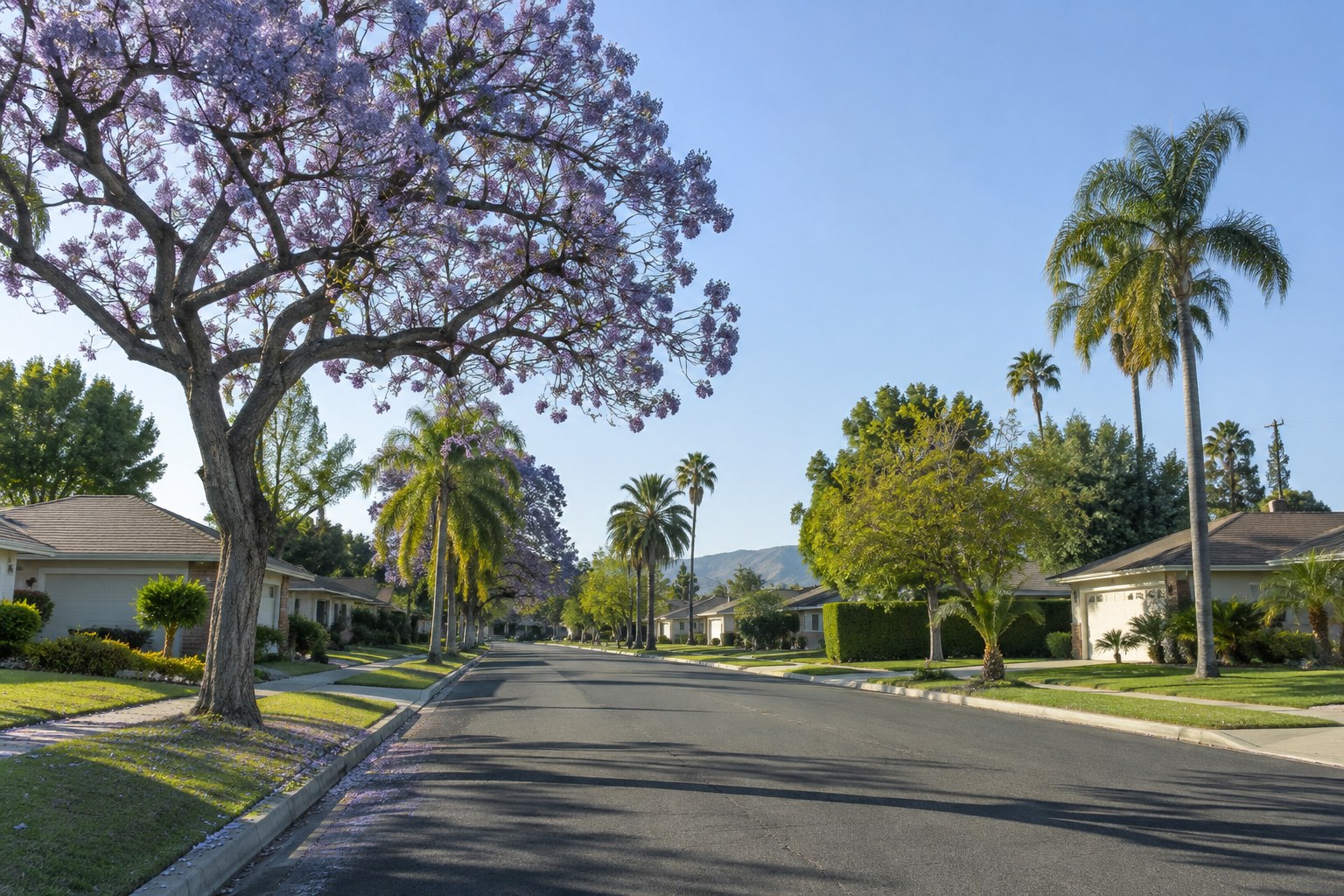 A two story home on a quiet Northridge street